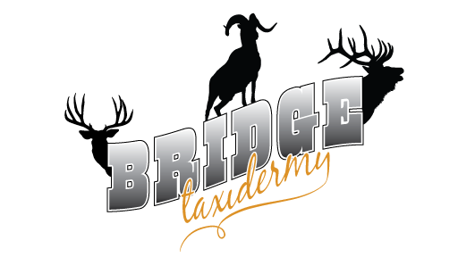 Bridge Taxidermy Logo