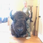 Buffalo